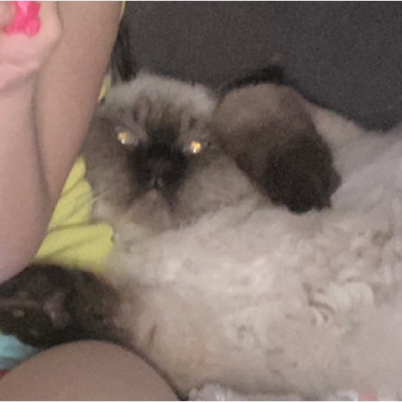 Meet your Posher - Picture 11 of 11